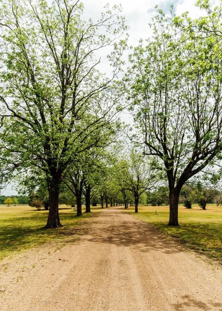 136 Acres with a Lodge in Leflore County, MS