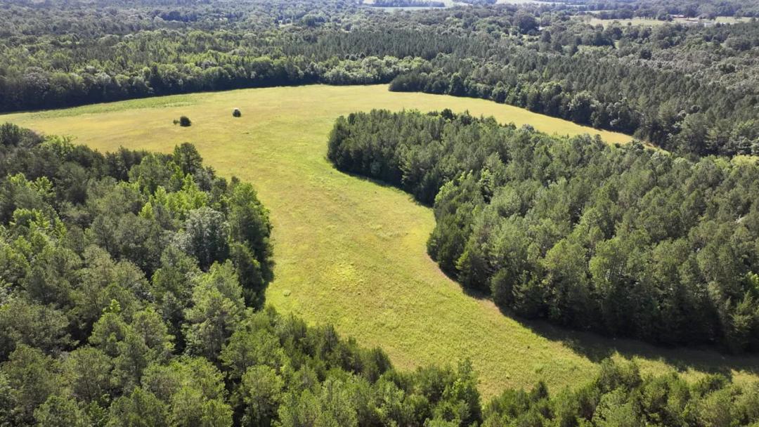 Clay County - 660 acres Big Timber and Recreational Tract