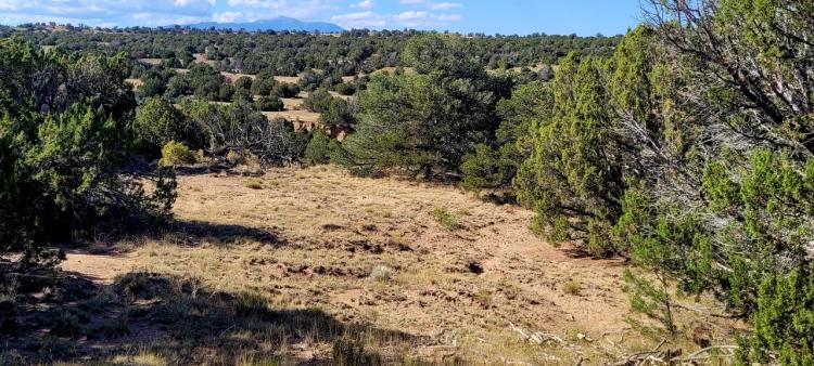 Treed Parcel - Arroyo at Back Property Line - Views - Near 2 Lakes