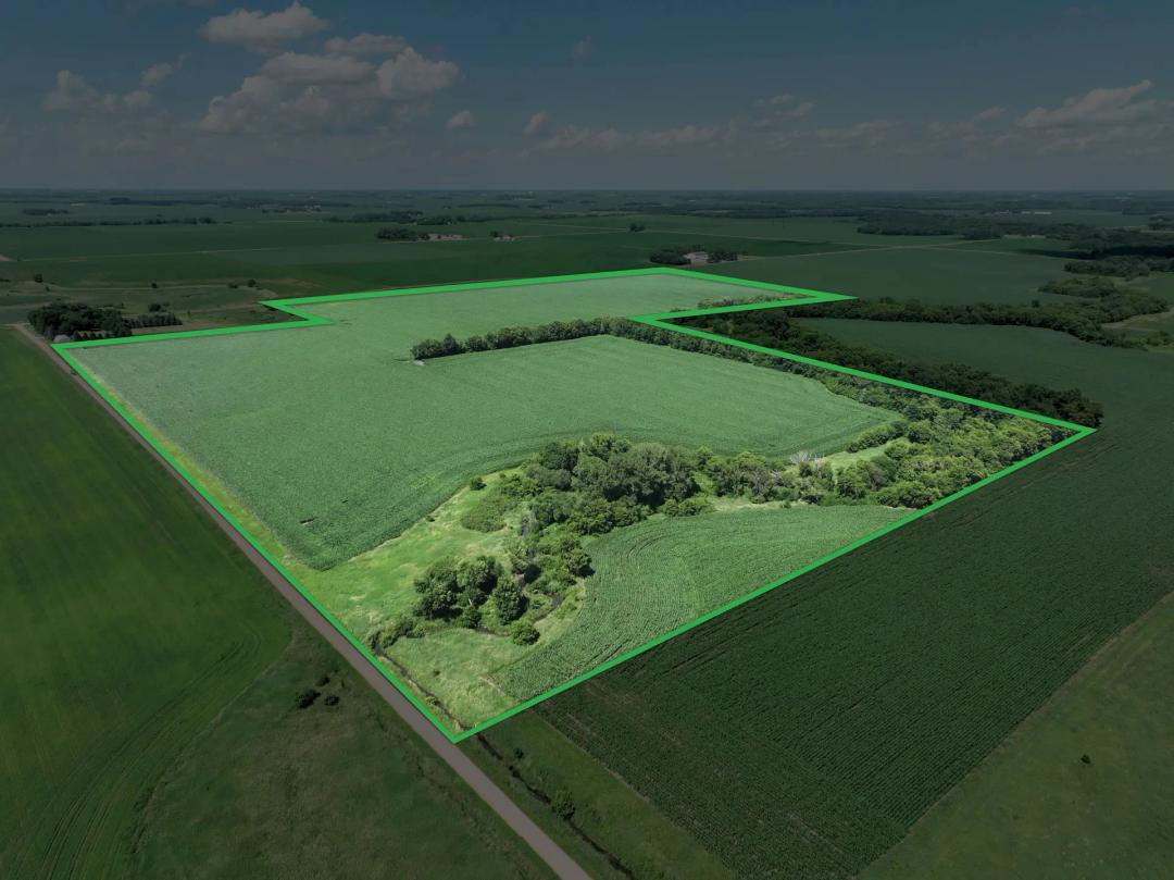 187.39 ± Blue Earth County Farmland Auction - 2 parcels