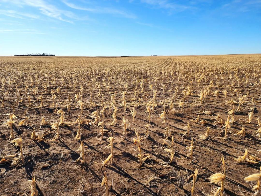 Mostly Tillable Cropland Located near Kimball, NE & I80