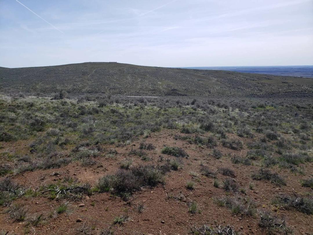20 Acres for Sale. Banks Lake/Coulee City Area