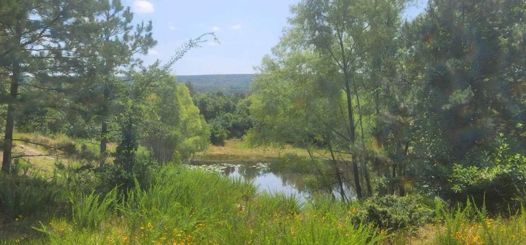 JOSLIN RIDGE RANCH