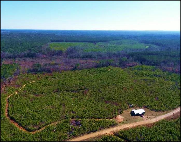 568 Acres with a Camp in Winston County in Louisville, MS 