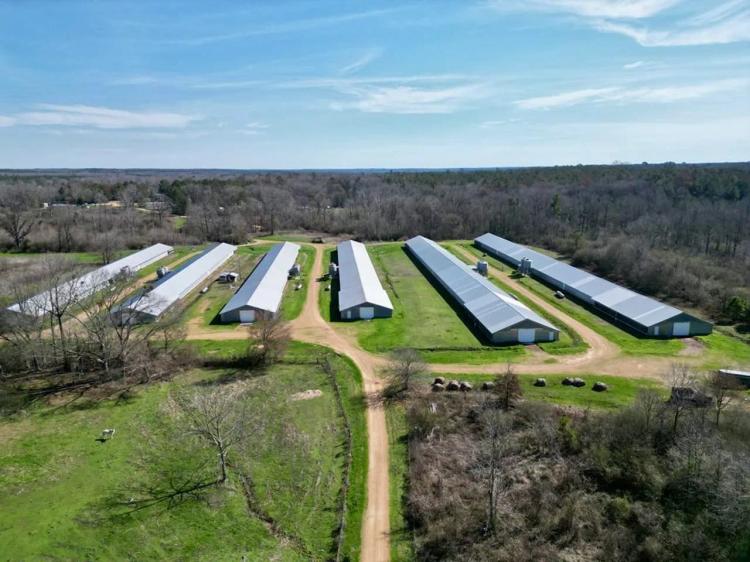 6-House Poultry Broiler Farm For Sale in MS
