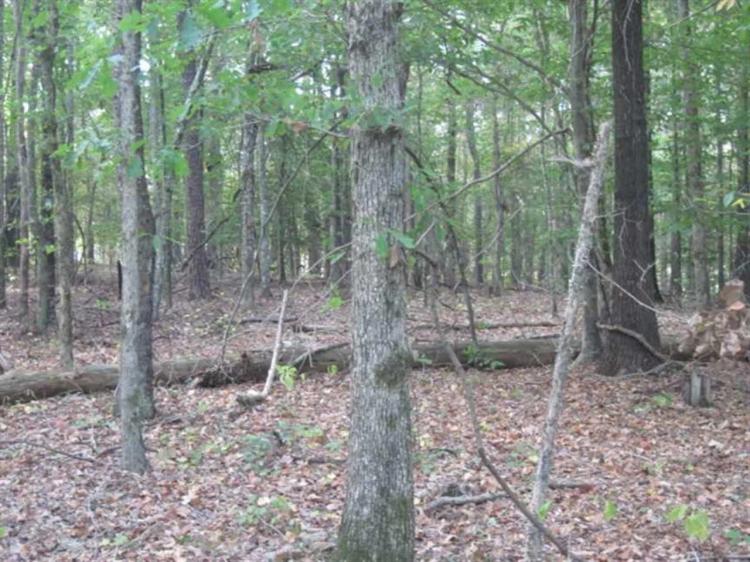 Land (11 Acres) for Sale in Carroll County, Mississippi