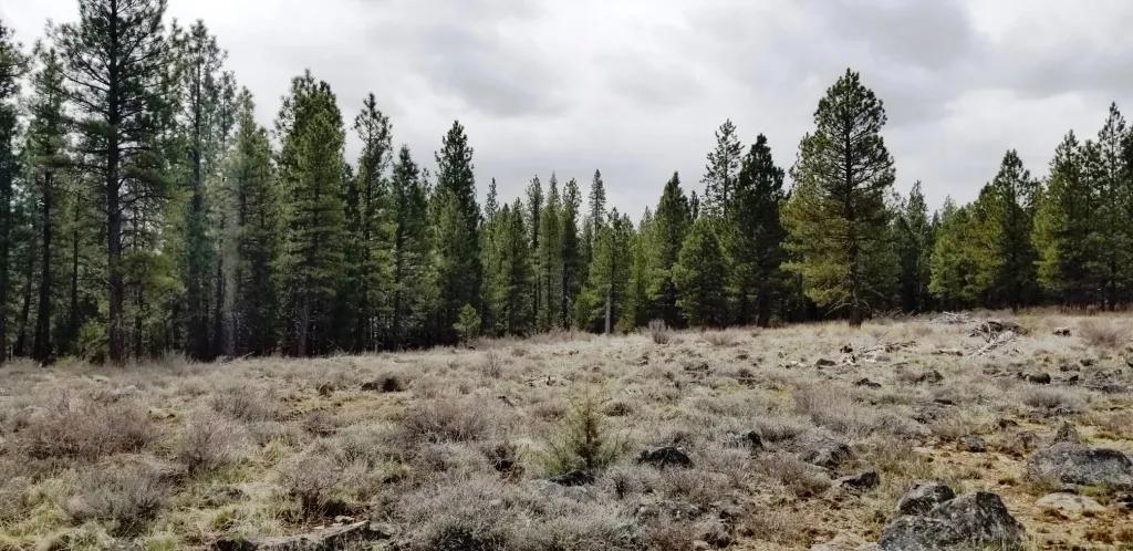 9.72 acres North of Beatty Oregon - Camp - RV - Build - Borders BLM lands