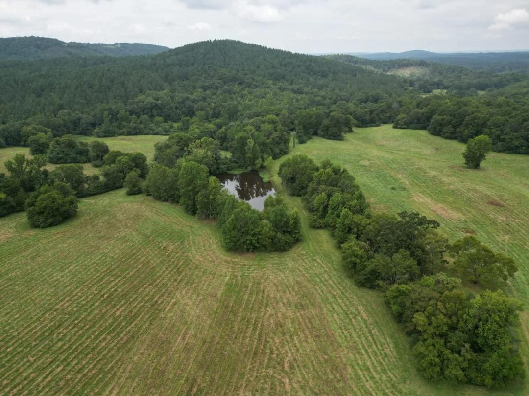 Pike County 164 +/- acres - Kirby, AR