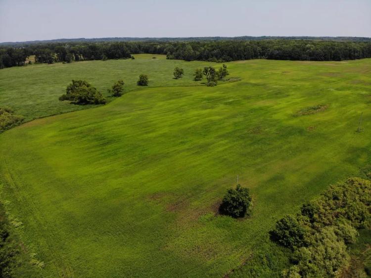 66+/- Acres Hunting Land with Tillable for sale M43 Hwy Bangor, MI.