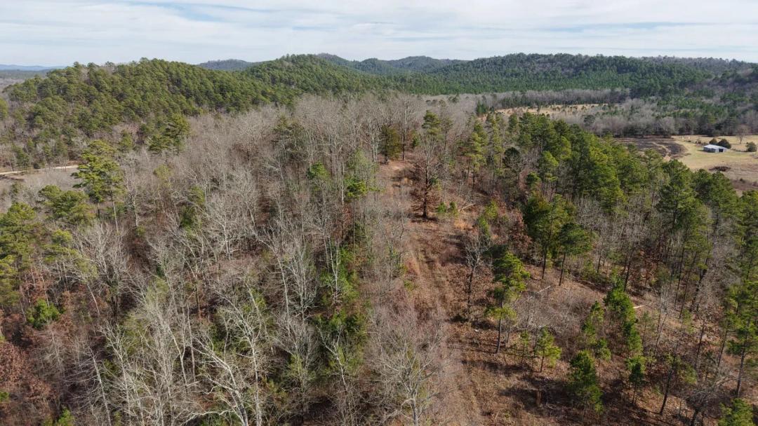 100 Acres in Montgomery County, AR