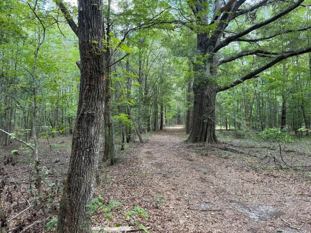 Great Hunting tract near East Montgomery/ Fitzpatrick
