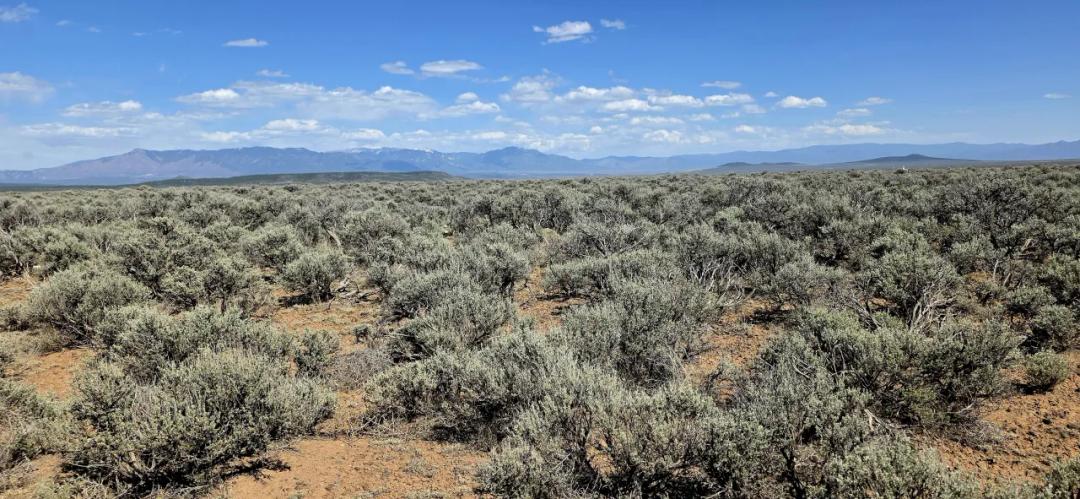 Scenic Wide Open Spaces. Western Taos County New Mexico. No restrictions ADJOINS TP4-22-F