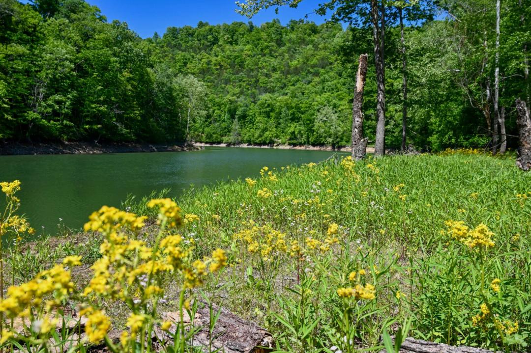 29.16 Acres at 0 Crestwood Road - 156, 157, 158, & 159