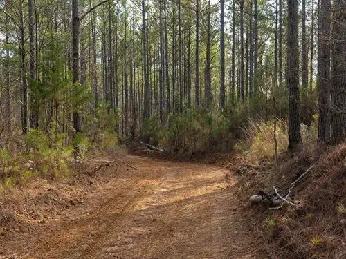 5.52 acres for $999 down
