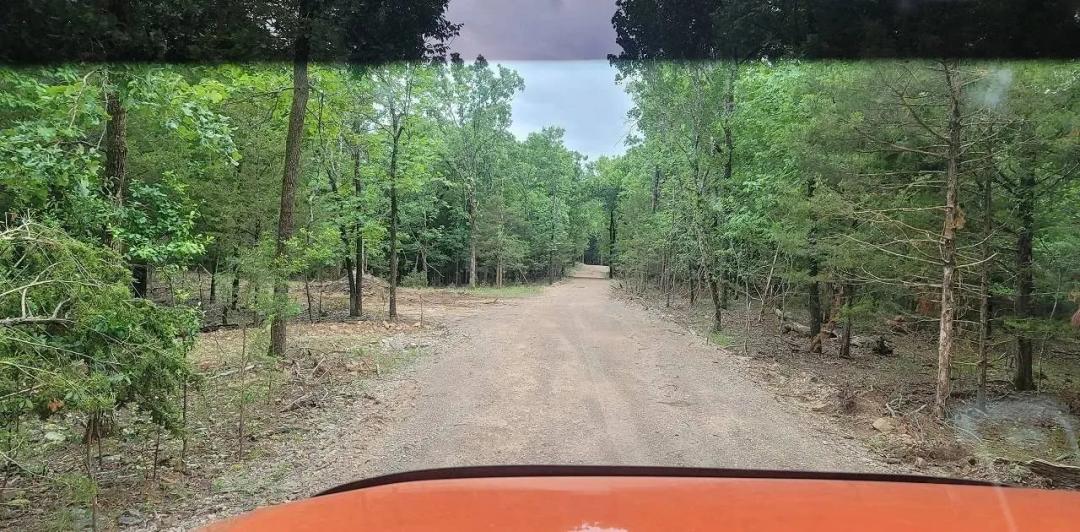 THE VIEWS BY SARDIS LAKE Tract 2