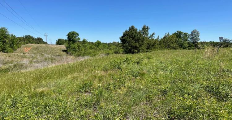 32.9 Acres in Covington County in Collins, MS
