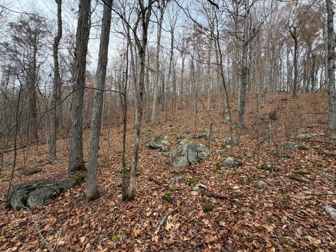 30.42 Acres at 0 Spring Hill Rd