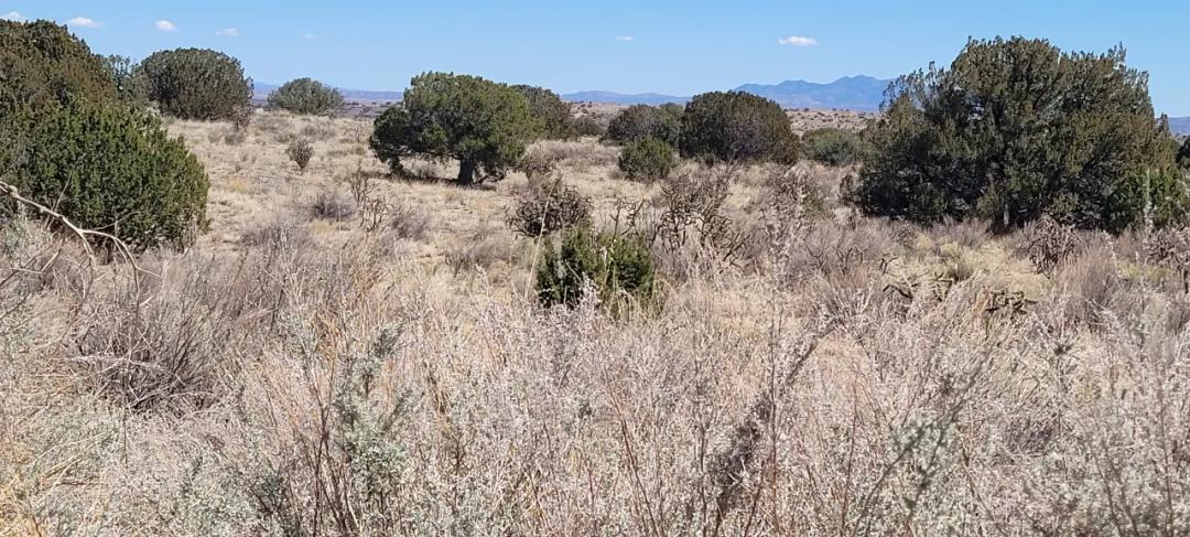 Rio Rancho New Mexico 1 acre - EZ access off of Main Road