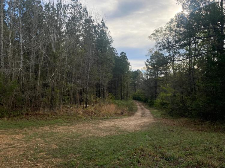 179 Acres in Pearl, MS in Rankin County