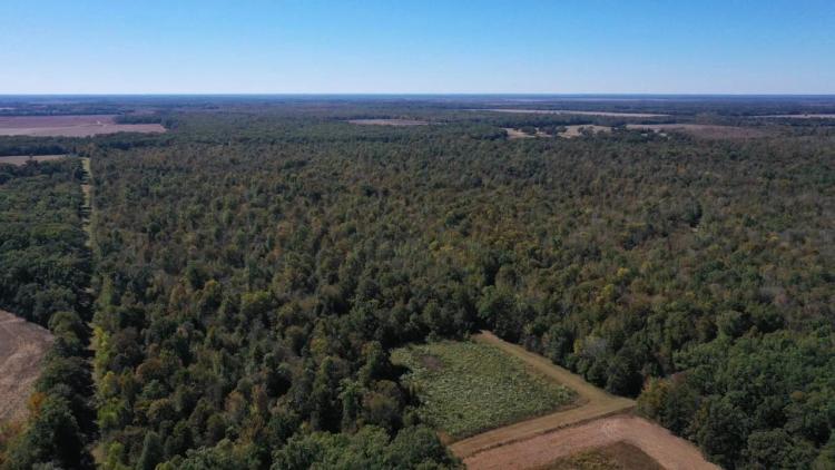 360+/- Acres High Fence Land for Sale North Louisiana