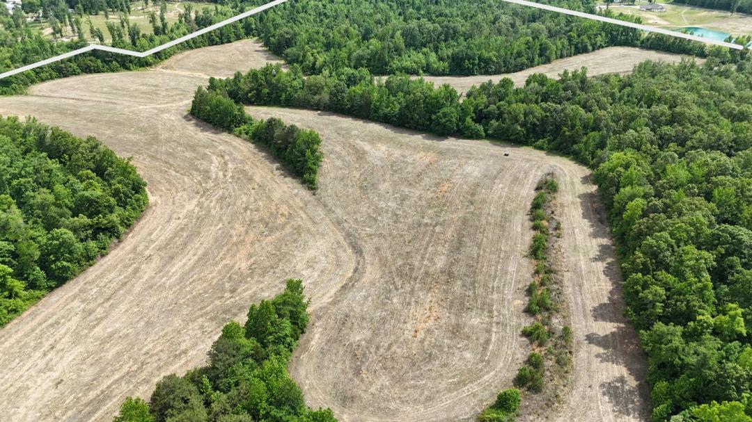 199.10 Acres at 1200 Sand Ridge Bargerton Rd