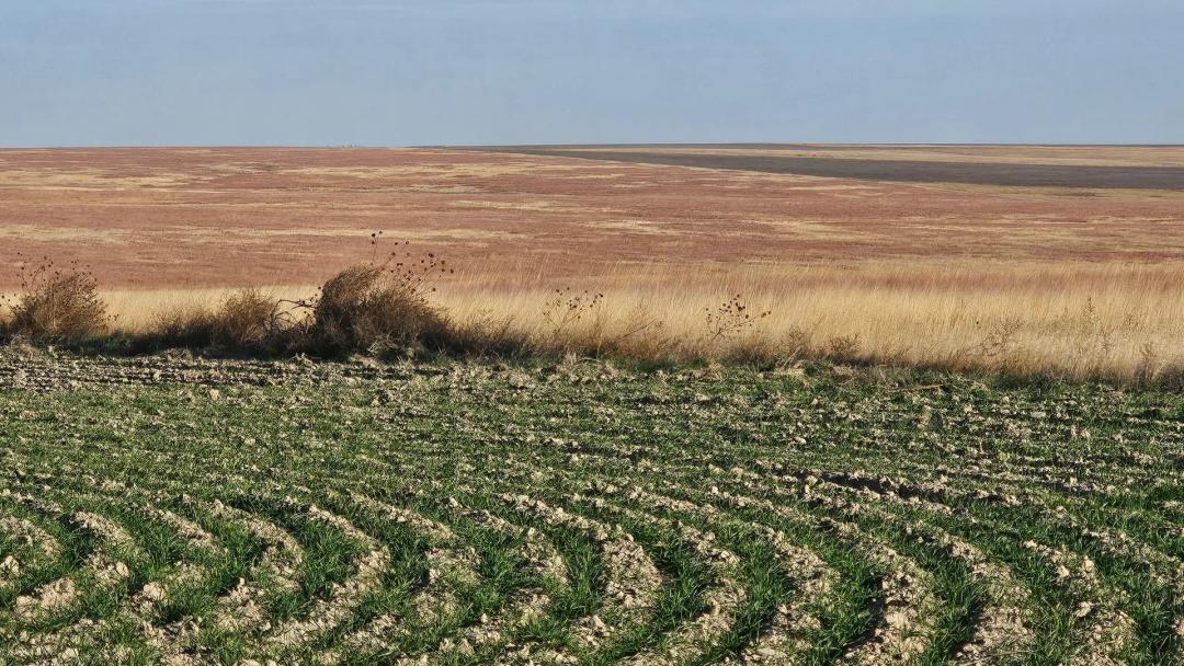 Westward C Farmland – 557.7 Acres