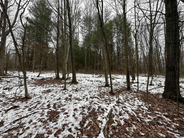 12 acres Wooded Hunting Land in Lindley NY State Line Road