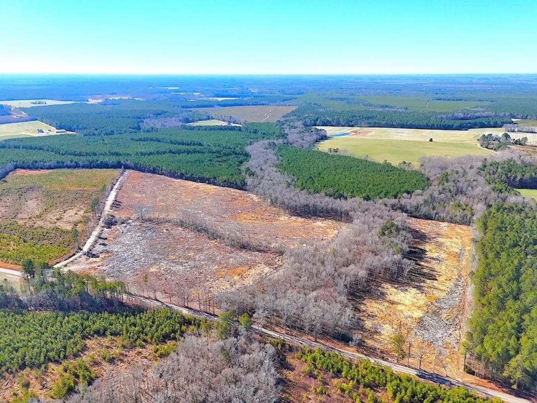 UNDER CONTRACT!! 31.50 Acres of Residential Land for Sale in Sussex County VA!