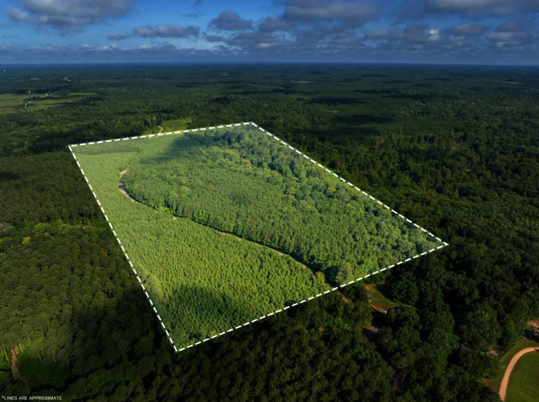 80± Acre Recreational Tract | Union Parish, LA