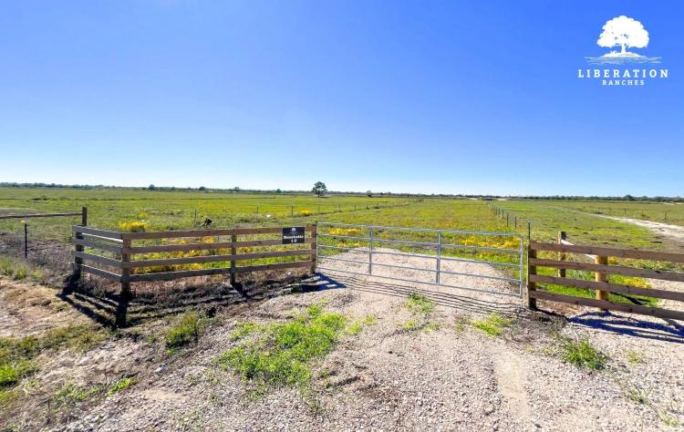 Anahuac Tract 16 | 14+ Acres | Only $15K Down