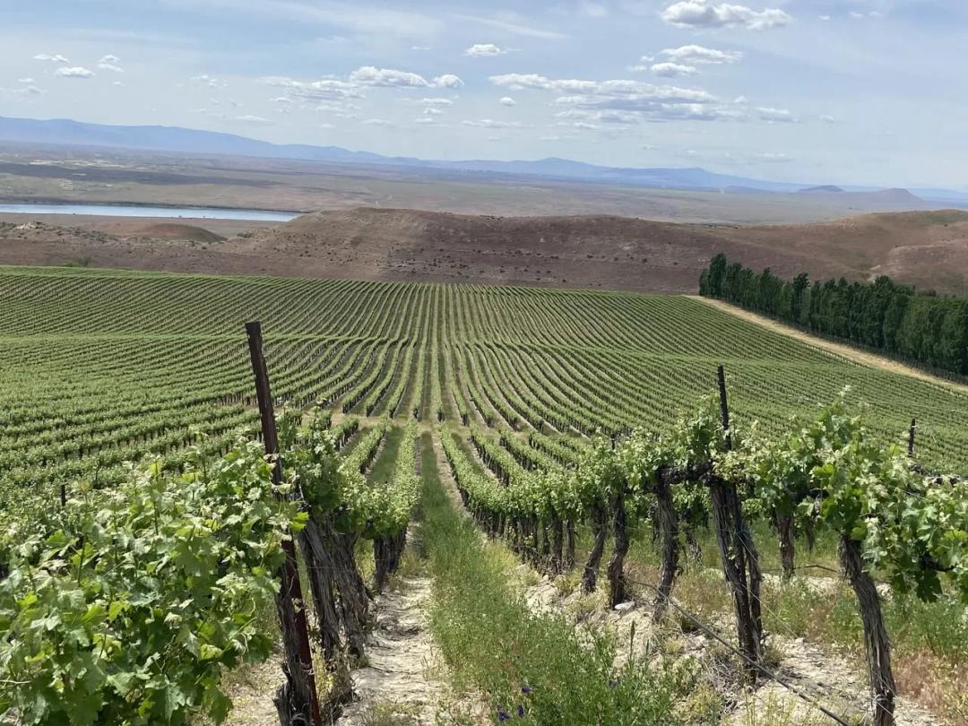 Listing #17645 - 281.90 acres in Franklin County, WA