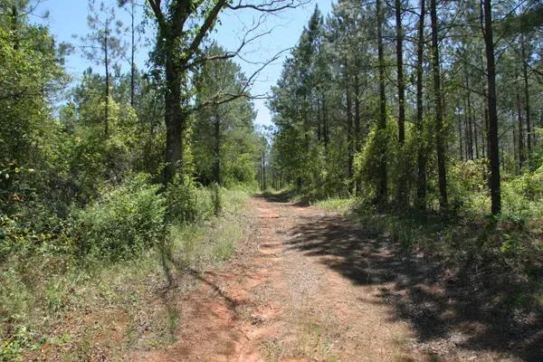 126.51 Acres of land for a Home Site, Farming or Gardening