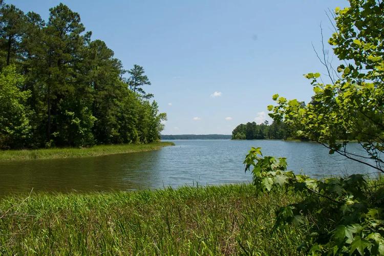 1.15 Acres of Waterfront Land