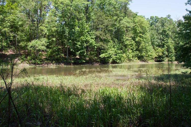 1.24 Acres of Waterfront Land