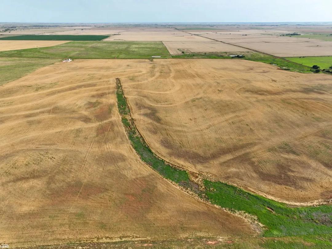 Okeene Wheat Farm