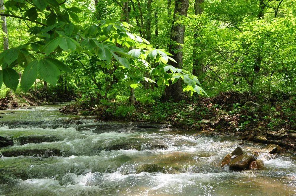 WISEMAN BRANCH MOUNTAIN RETREAT