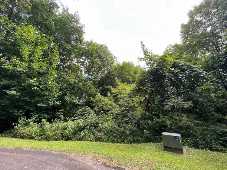 1.08 Acres at TBD Jewel Weed Trail