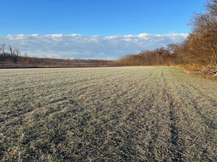 Tillable Ground For Sale in Spencer County, IN 20 Acres +/-