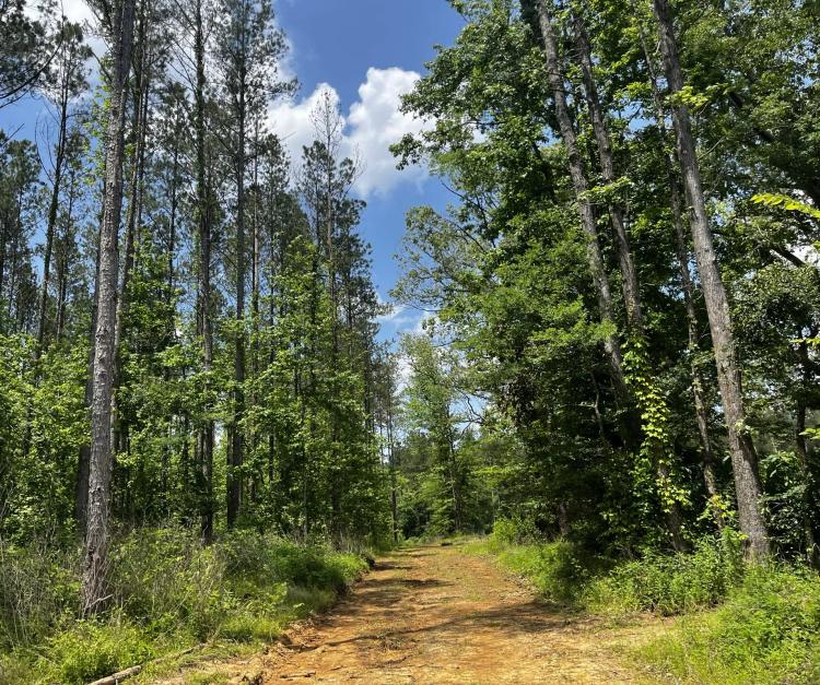 443 Acres in Attala County, MS