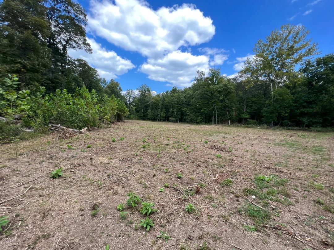 153 Acre Hunting Tract in Dallas County Mo