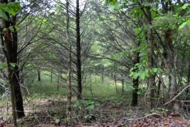 Property from 9ac Circle Rd - KW
