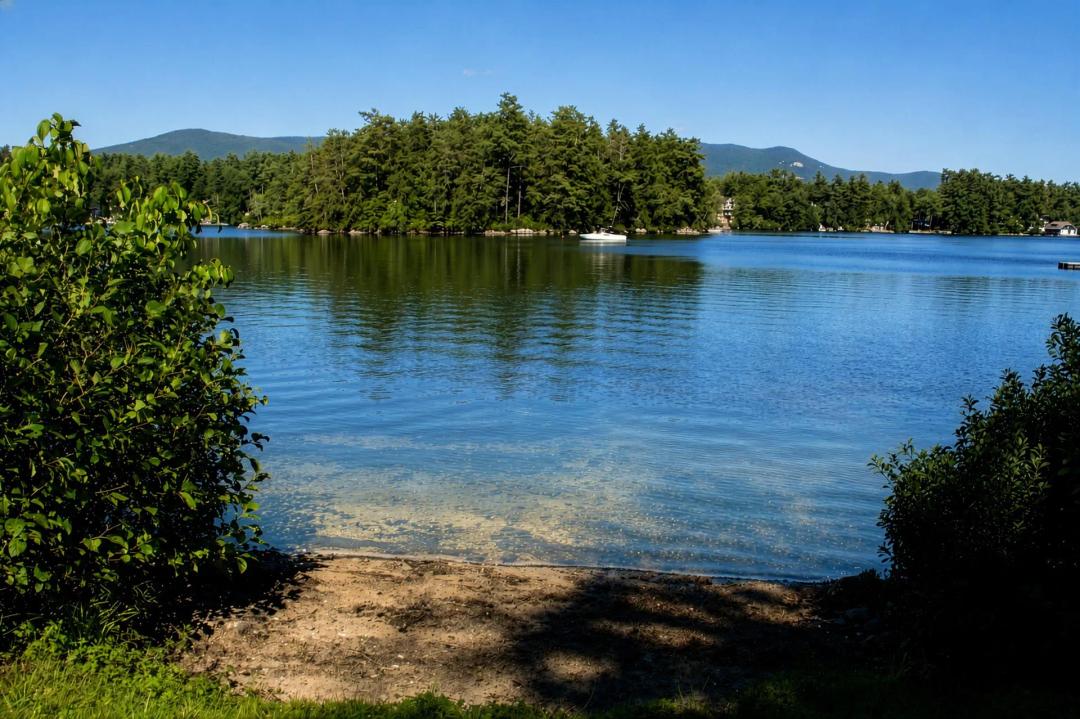 3 Bedrooms1.5 Bathroom on 2.20 Acres at 81 Buzzell Cove Road