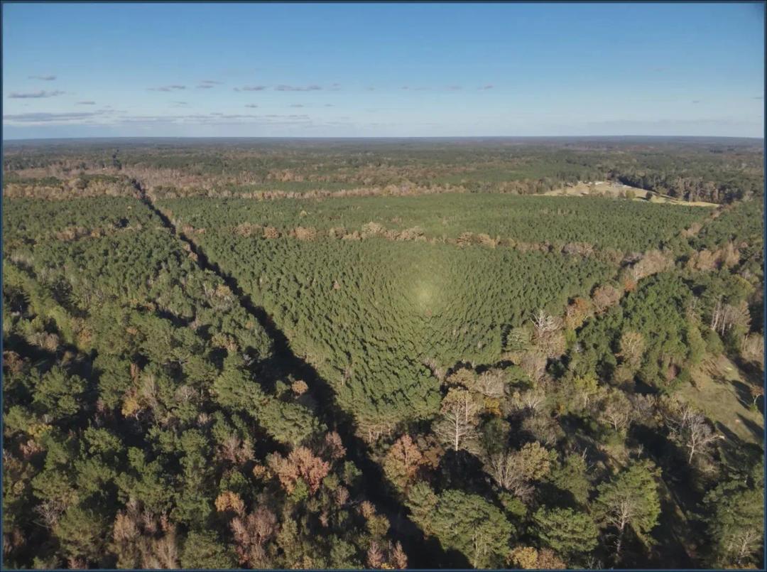 38 Acres (Lot 4) in Madison County in Canton, MS