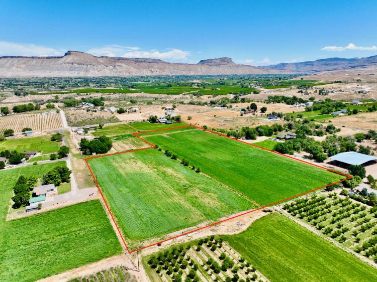 Irrigated Crop Land in Palisade, Colorado Fruit and Wine Country!
