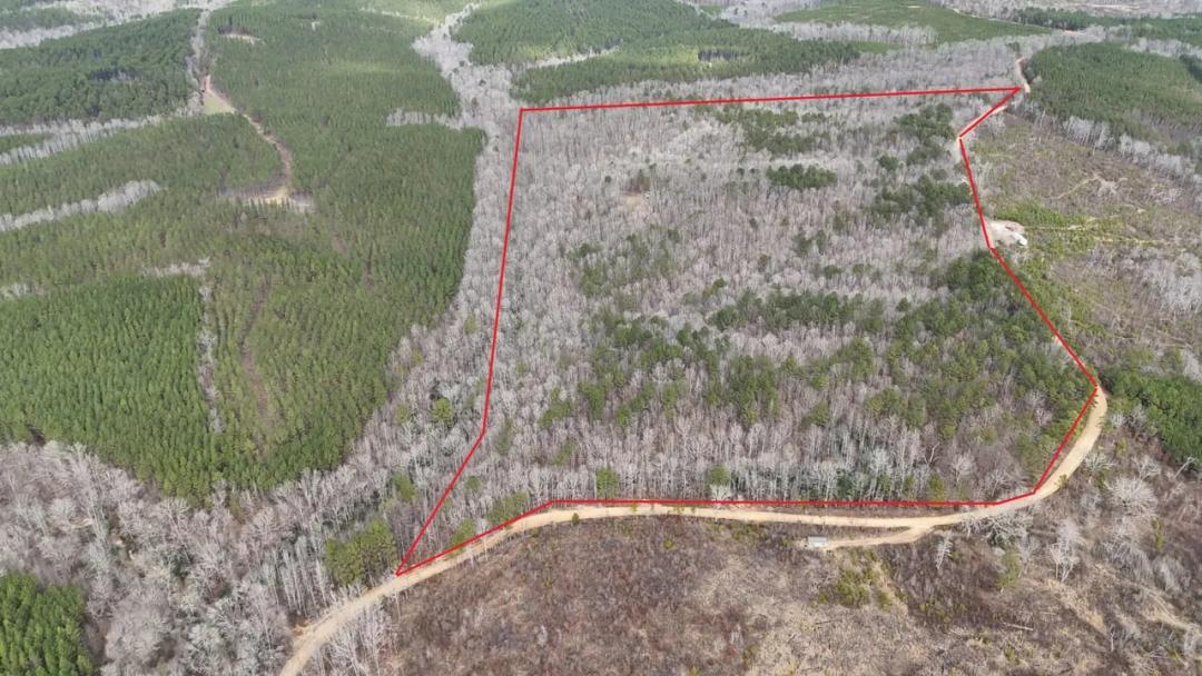 82+/- Acres in Marion Co., AL Willing to Subdivide