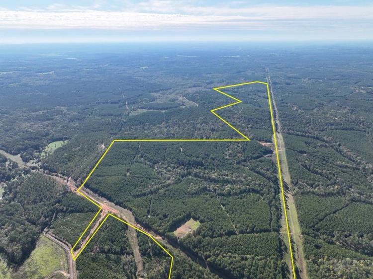 290 Acres | County Road 1090 | T-3