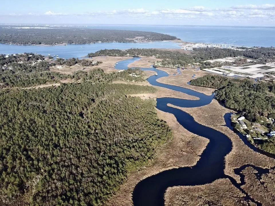 217.00 Acres at 0 Dog River Road