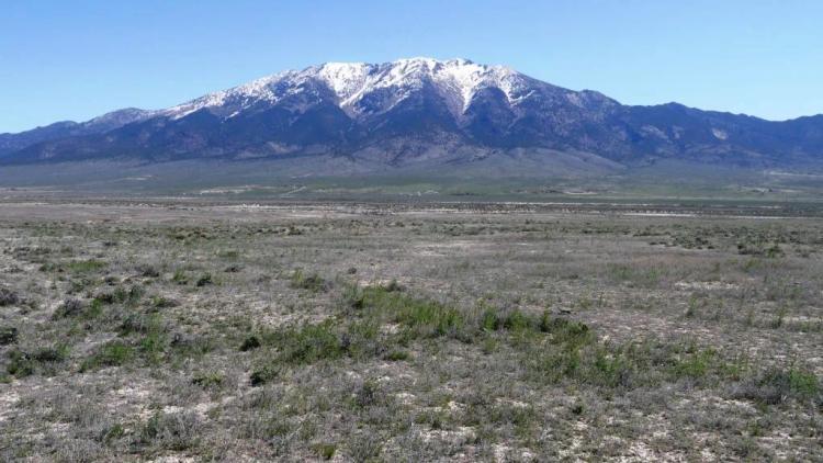 Wide Open Spaces of Eastern Nevada - Base of Toano Mountains - 40 acres