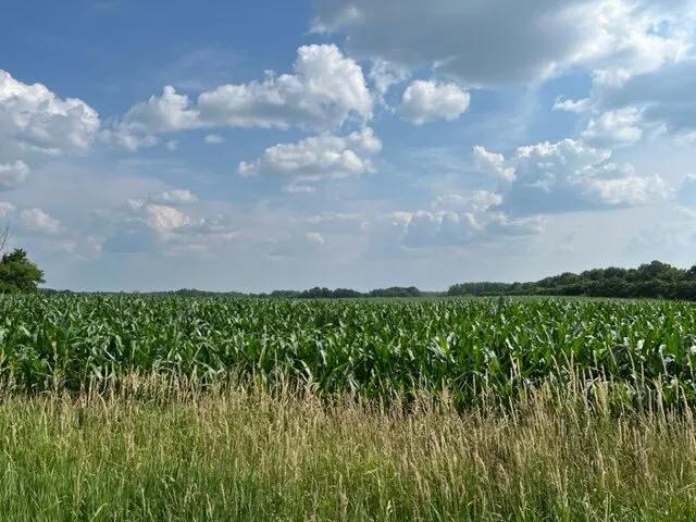 20.79 Acres at 0 St Croix Rd SE - East Parcel 20.79 Ac