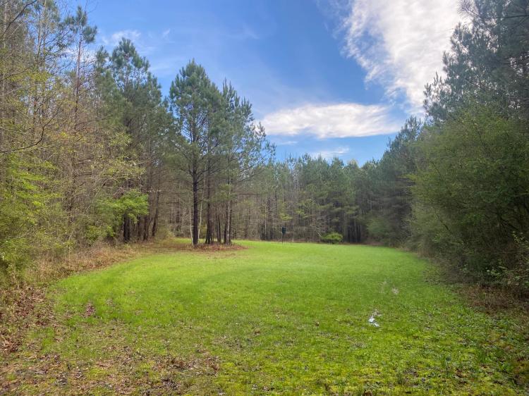 111 Acres in Rankin County, MS
